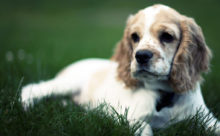 Consistently Developing a Set of Principles.