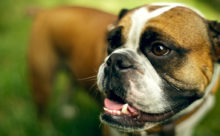 Developmental Success and how to Achieve it.