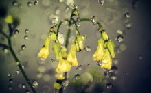 Developmental Success and how to Achieve it.