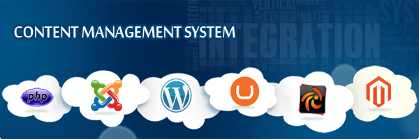 Content Management System